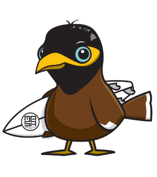 MASA Artistry - Baby Surf Mynah